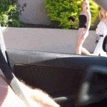 Public flashing photo walmartwomenflashers:It happens sometimes a girl for no apparent…